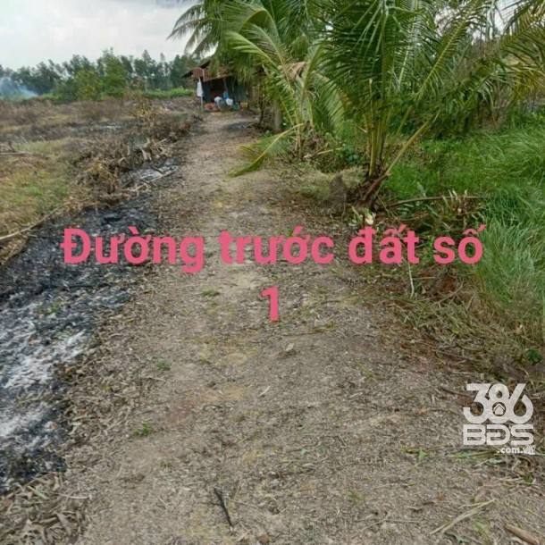 16000m2 đất vườn xã Thạnh Hòa, Bến Lức , Long An giá 5 tỷ-5