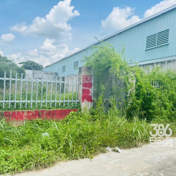 156 đất hẻm đường Vườn Thơm, xã Bình Lợi giá 2,6 tỷ-2