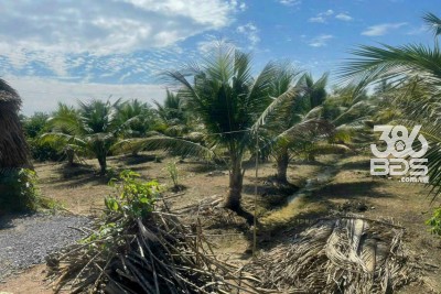 1700m2 đất ấp 8, Lương Hòa, Bến Lức , Long An giá 2,9 tỷ