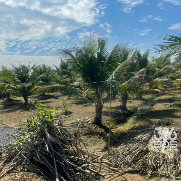 1700m2 đất ấp 8, Lương Hòa, Bến Lức , Long An giá 2,9 tỷ-1
