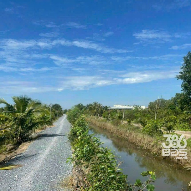 1700m2 đất ấp 8, Lương Hòa, Bến Lức , Long An giá 2,9 tỷ-3
