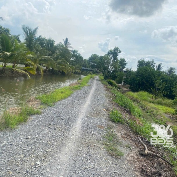 1700m2 đất ấp 8, Lương Hòa, Bến Lức , Long An giá 2,9 tỷ-4