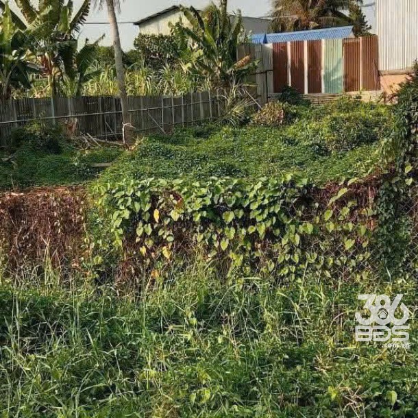 810m2 đất mặt tiền lô B Thích Thiện Hòa , xã Lê Minh Xuân , Bình Chánh giá 6,5 tỷ-1