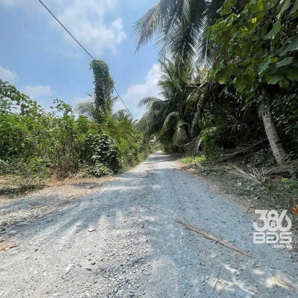 810m2 đất mặt tiền lô B Thích Thiện Hòa , xã Lê Minh Xuân , Bình Chánh giá 6,5 tỷ-2