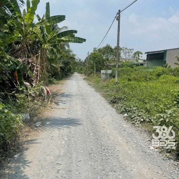 810m2 đất mặt tiền lô B Thích Thiện Hòa , xã Lê Minh Xuân , Bình Chánh giá 6,5 tỷ-4