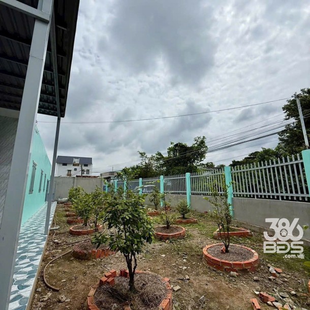 Nhà vườn 300m2 thổ cư góc 2 mặt tiền Trần Văn Khôi, xã Mỹ Lộc , Cần Giuộc giá 2,65 tỷ-2