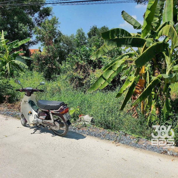 1038m2 đất mặt tiền An Hạ, xã Phạm Văn Hai, Bình chánh giá 11,6 tỷ-3