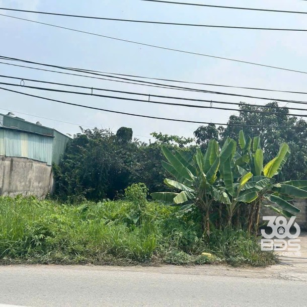 612m2 ( có 120m2 thổ) đất mặt tiền Thanh Niên, xã Phạm Văn Hai, Bình Chánh giá 5 tỷ-2