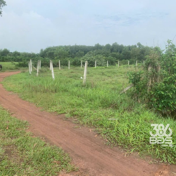 1800m2 đất lúa xã Nhuận Đức , Củ Chi giá 2,2 tỷ-1