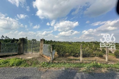 4683m2 đất vườn mt kênh 2, Vườn Thơm, xã Bình Lợi, Bình Chánh giá 9,84 tỷ