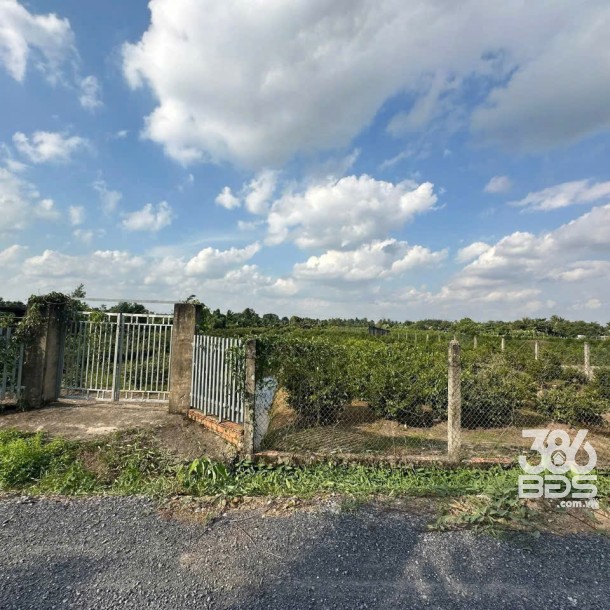 4683m2 đất vườn mt kênh 2, Vườn Thơm, xã Bình Lợi, Bình Chánh giá 9,84 tỷ-1