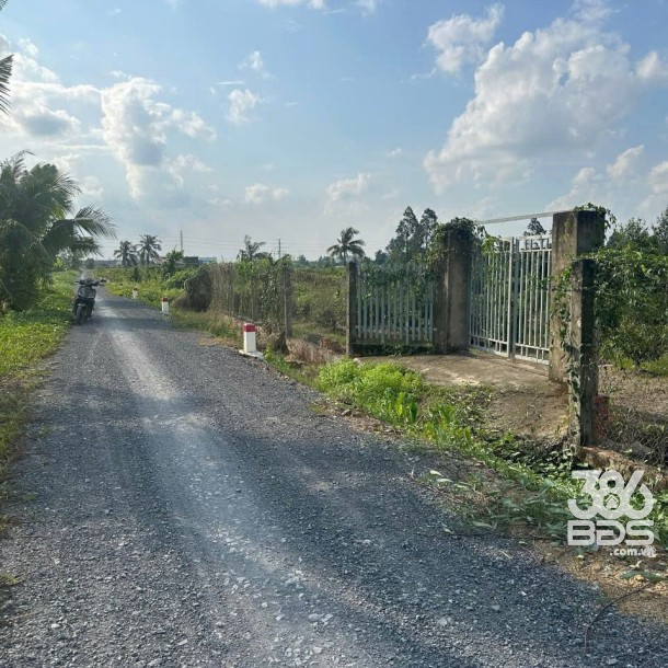 4683m2 đất vườn mt kênh 2, Vườn Thơm, xã Bình Lợi, Bình Chánh giá 9,84 tỷ-2