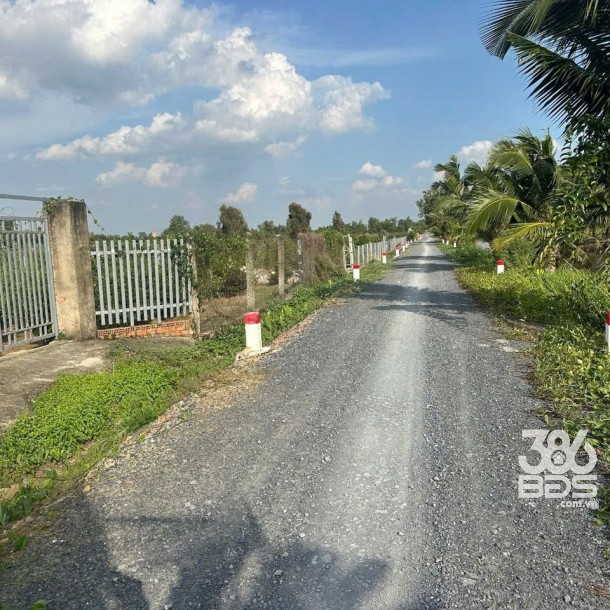 4683m2 đất vườn mt kênh 2, Vườn Thơm, xã Bình Lợi, Bình Chánh giá 9,84 tỷ-4