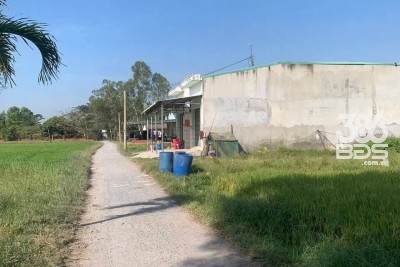 Dãy trọ 20 phòng xã Đức Hòa Đông, Đức Hòa, Long An dt 500m2 giá 5,2 tỷ