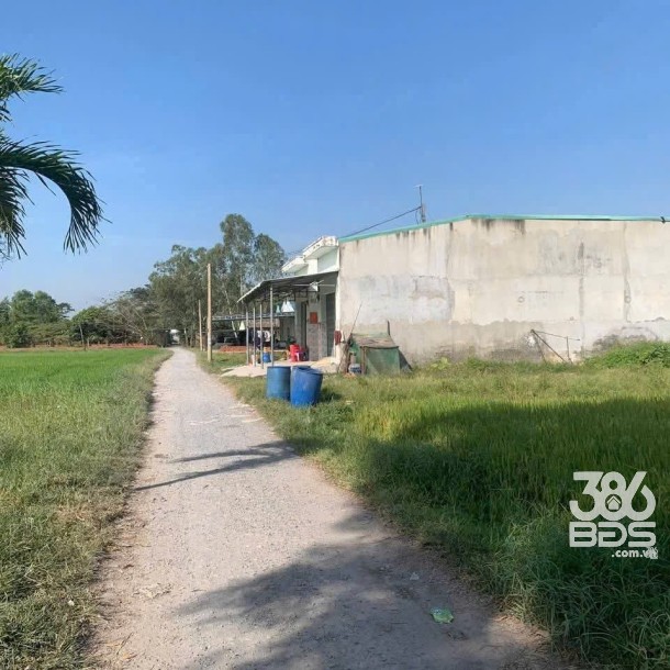Dãy trọ 20 phòng xã Đức Hòa Đông, Đức Hòa, Long An dt 500m2 giá 5,2 tỷ-1