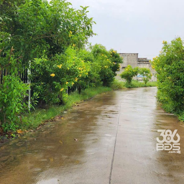 469m2 đất thổ cư hẻm ấp 4, xã Đức Hòa Đông, Long An giá 6 tỷ-3