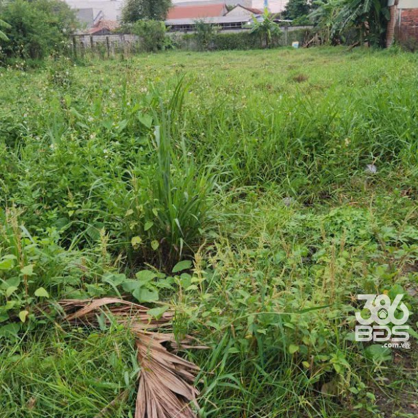 850m2 thổ cư hẻm ấp Bình Thủy, xã Hòa Khánh Đông , Đức Hòa giá 7,5 tỷ-1