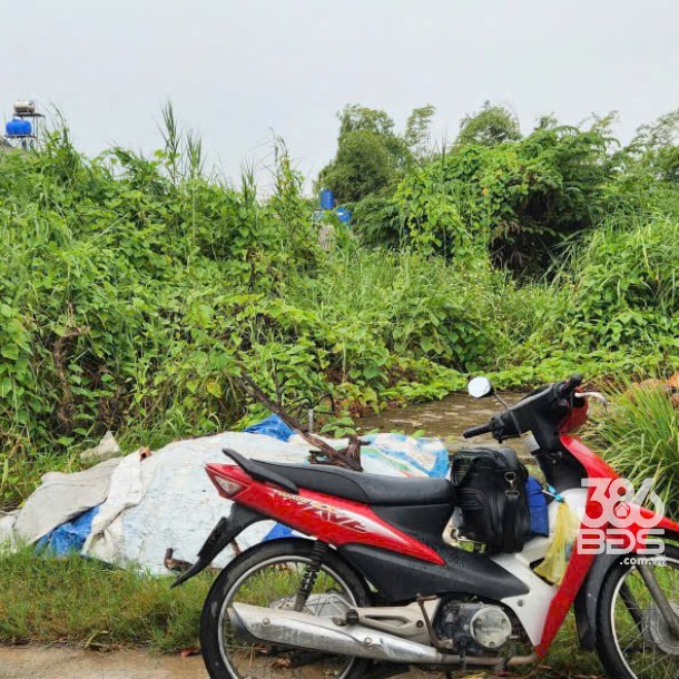 1193m2 đất thổ cư hẻm xã Đức Hòa Đông, Đức Hòa, Long An giá 11 tỷ-2