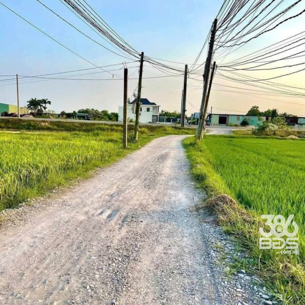 1562m2 đất (300m2 thổ) xã Đức Hòa Đông, Đức Hòa , Long AN giá 7,8 tỷ-3