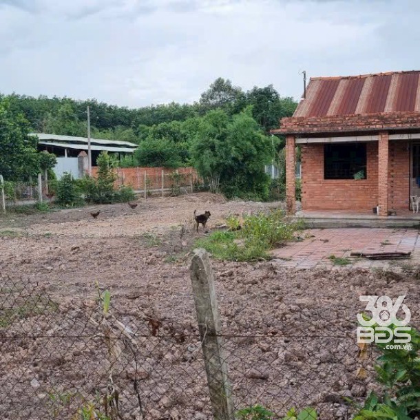 1000m2 ( có 241m2 thổ cư) góc 2 mặt tiền 1/ Trung Lập xã Trung Lập Thượng, Củ Chi giá 4 tỷ-3