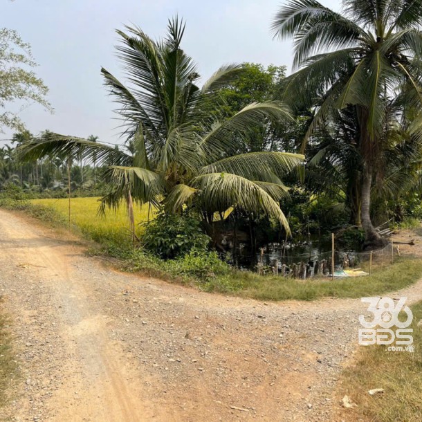 207m2 thổ cư hẻm ấp 10 , xã Lương Hòa, Bến Lức , Long An giá 850 triệu-7