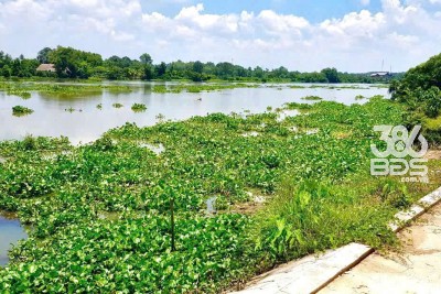 5153m2 đất ( có 300m2 thổ cư) mặt tiền sông Sài Gòn, xã Trung An, Củ Chi giá 33,5 tỷ