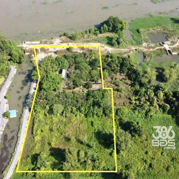 5153m2 đất ( có 300m2 thổ cư) mặt tiền sông Sài Gòn, xã Trung An, Củ Chi giá 33,5 tỷ-3