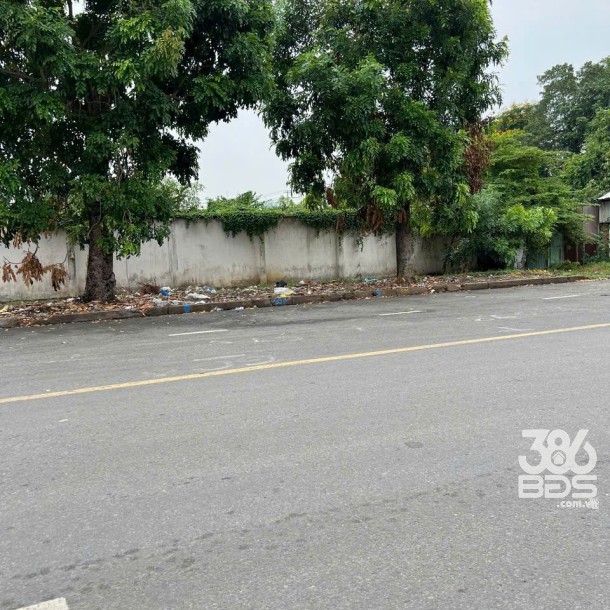 1267m2 full thổ mặt tiền gần KCN Vĩnh Lộc giá 42 tỷ-2