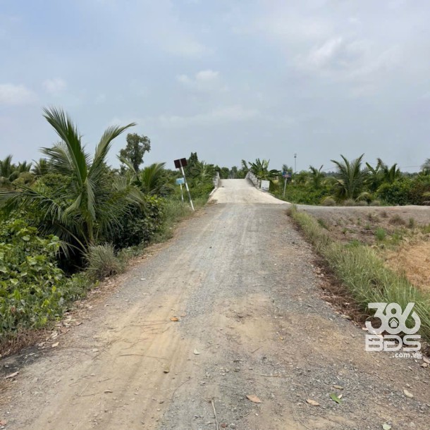 4871m2 đất lúa cạnh đường Vành Đai 3, xã Tân Hòa, Bến Lức, Long An giá 3,9 tỷ-2