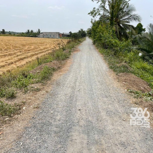 4871m2 đất lúa cạnh đường Vành Đai 3, xã Tân Hòa, Bến Lức, Long An giá 3,9 tỷ-3