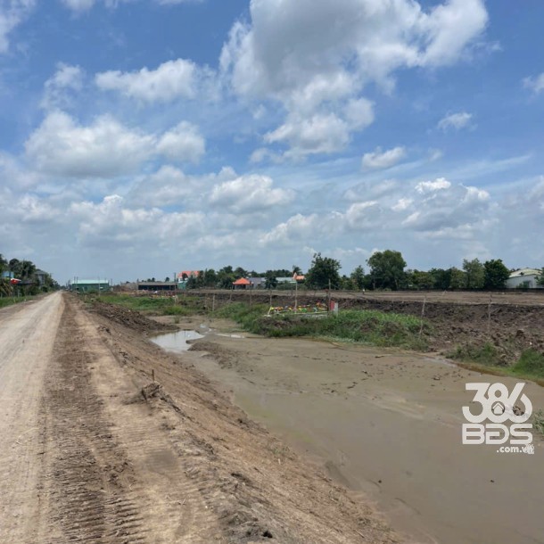 4871m2 đất lúa cạnh đường Vành Đai 3, xã Tân Hòa, Bến Lức, Long An giá 3,9 tỷ-8