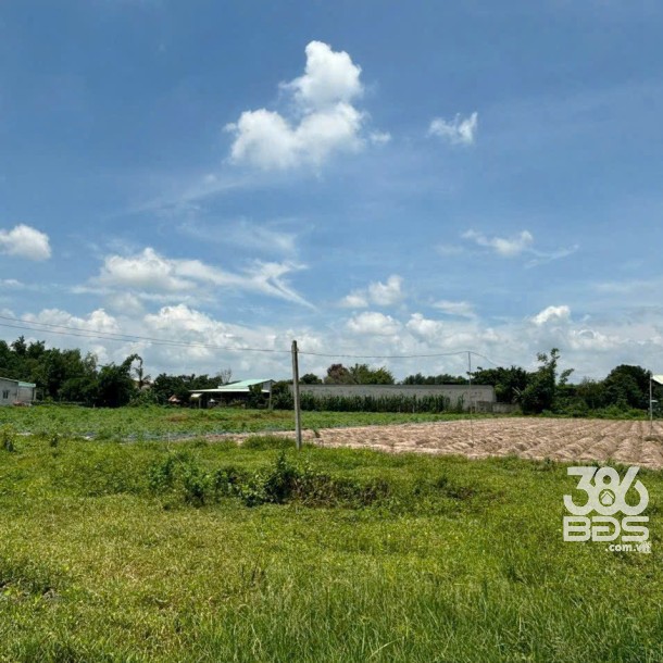 18220m2 đất (617m2 thổ cư) khu quy hoạch chuyển đổi SKC xã Lộc Giang, Đức Hòa giá 13,5 tỷ-2