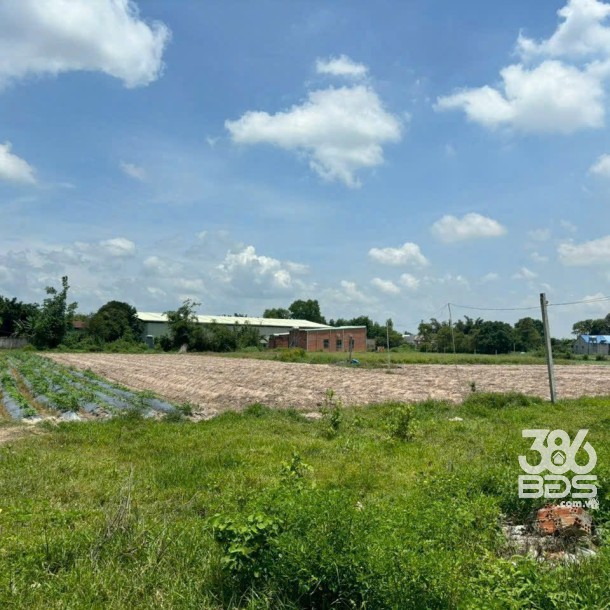 18220m2 đất (617m2 thổ cư) khu quy hoạch chuyển đổi SKC xã Lộc Giang, Đức Hòa giá 13,5 tỷ-4