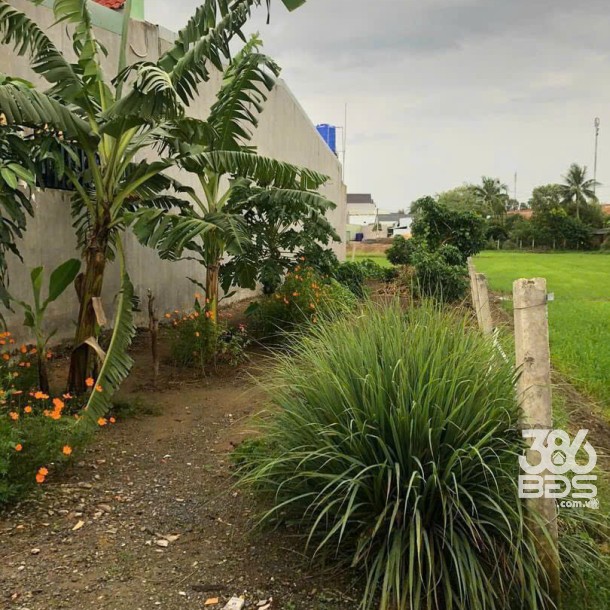 155m2 thổ cư đường beton 4m xã Phước Vân, Cần Đước giá 1,5 tỷ-5