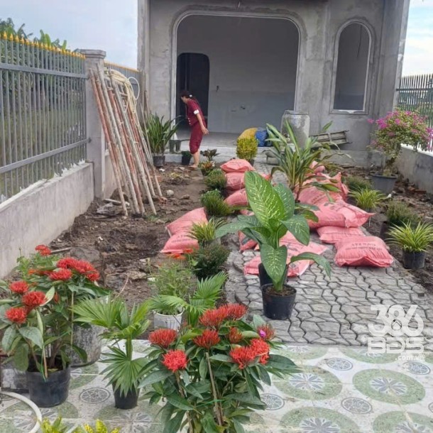 Nhà vườn sắp hoàn thiện xã Long Hòa, Cần Đước dt 341m2 full thổ giá 1,75 tỷ-4