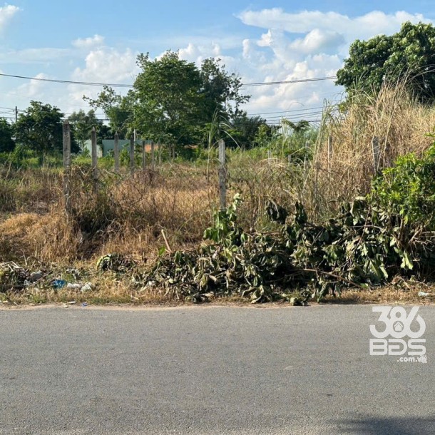 Đất thổ cư mặt tiền đường nhựa 429, xã Phước Vĩnh An dt 125m2 giá 2,5 tỷ-4