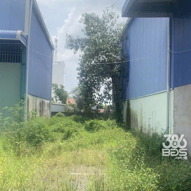 Nhà xưởng 3000m2 full thổ mặt tiền  p Tân Khánh, tp Tân An giá 36 tỷ-9