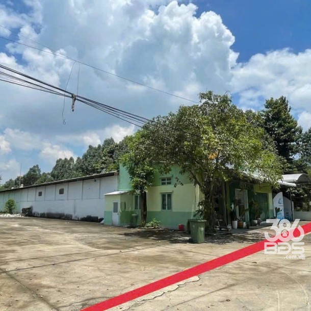 Nhà xưởng mặt tiền đường Vành Đai 4, Bến Cát tổng dt 5050m2 giá 39 tỷ-2