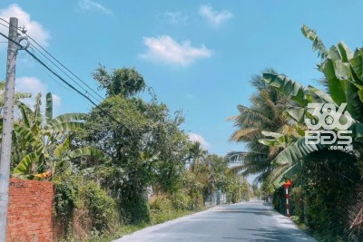 Đất mặt tiền đường nhựa 1/ Nguyễn Văn Khạ, xã Phạm Văn Cội dt 380m2 ( có 60m2 thổ) giá 3,1 tỷ