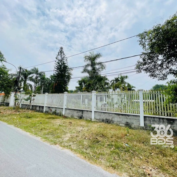 Đất 3 mặt tiền đường Bàu Lách xã Phạm Văn Cội dt 5079m2 ( có 1406m2 thổ cư) giá 25,4 tỷ-4