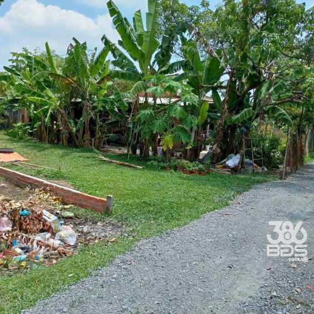 Đất thổ cư xã Đức Hòa Thượng dt 209m2 giá 1,4 tỷ-4