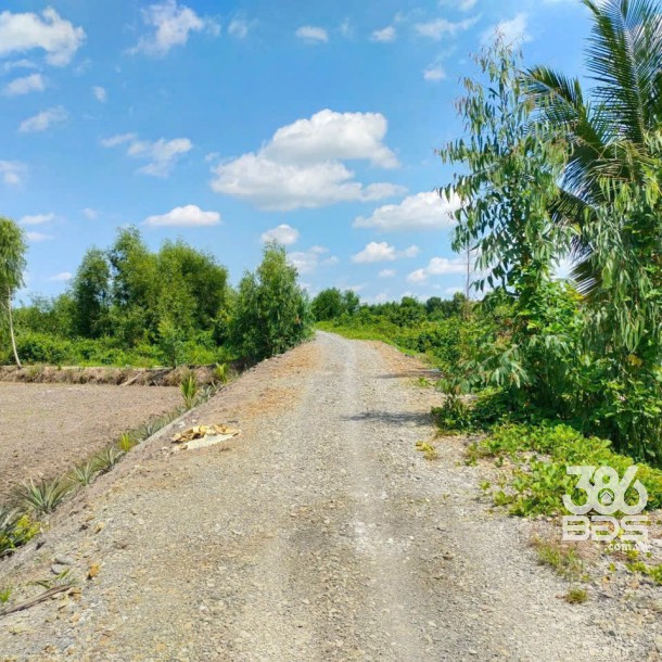 Bán đất vườn mặt tiền kênh ở Thù Thừa tổng dt 13.309m2 giá 7,8 tỷ-2