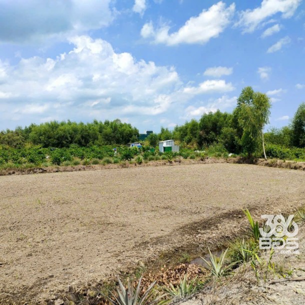 Bán đất vườn mặt tiền kênh ở Thù Thừa tổng dt 13.309m2 giá 7,8 tỷ-3