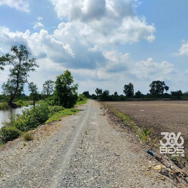 Bán đất vườn mặt tiền kênh ở Thù Thừa tổng dt 13.309m2 giá 7,8 tỷ-4