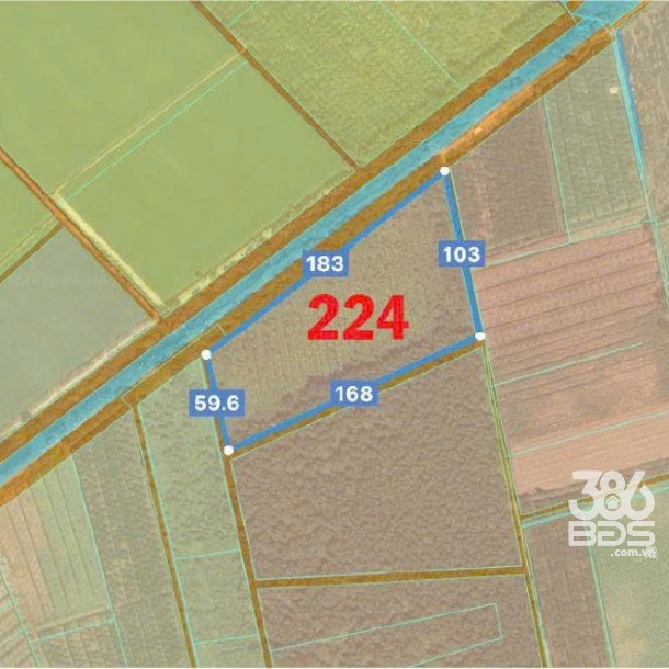 Bán đất vườn mặt tiền kênh ở Thù Thừa tổng dt 13.309m2 giá 7,8 tỷ-5