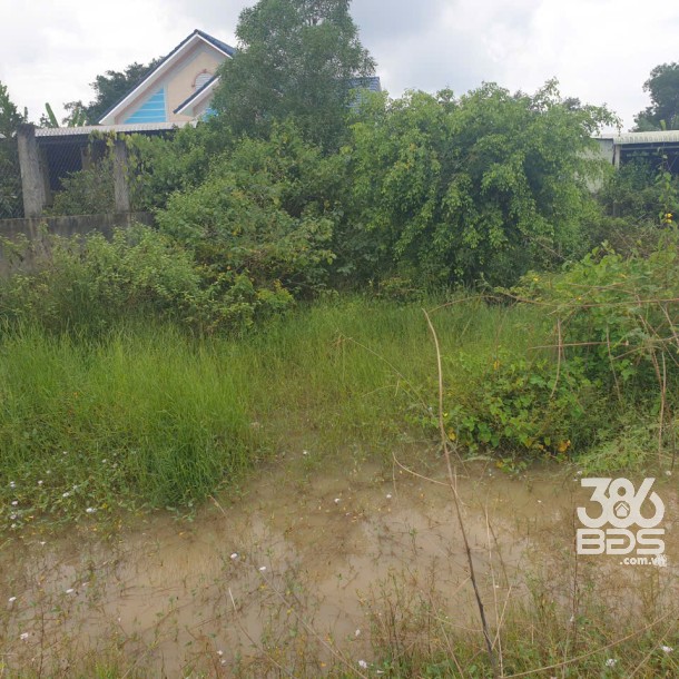 Bán đất full thổ mặt tiền nhựa Hồ Chí Minh, xã An Ninh Đông dt 500m2 giá 2,95 tỷ-6