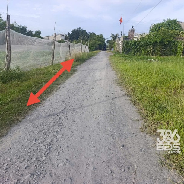 Bán lô đất thô cư xã An Ninh Đông tổng dt 950m2 full thổ , đường đá xanh 4m giá 2,3 tỷ-7