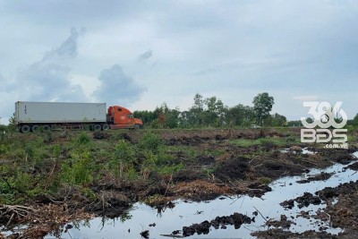 Bán 46.000m2 đất rừng sản xuất quy hoạch lên SKC xã Mỹ Thạnh Đông , Đức Huệ giá 17 tỷ