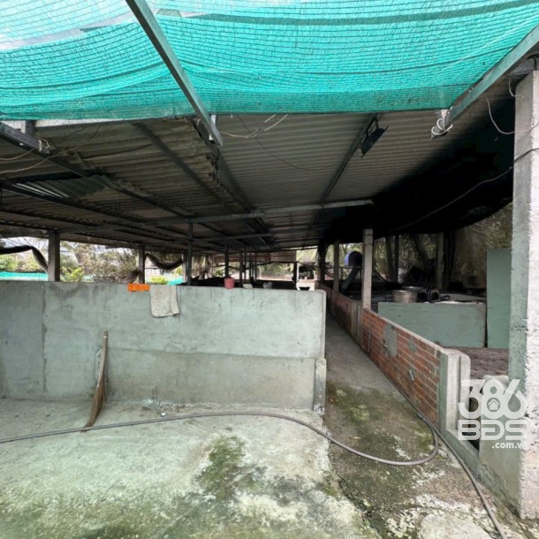 Bán đất 5100m2 (492m2 thổ) đường nhựa xã Thanh Phú, Bến Lức giá 37 tỷ-3