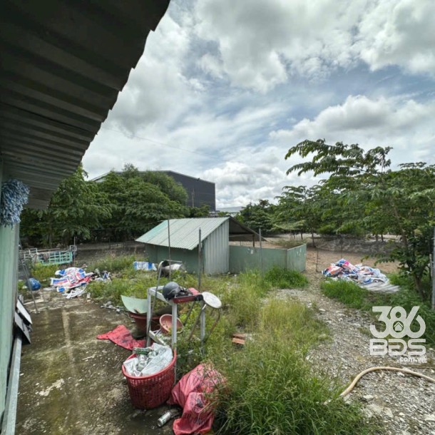 Bán đất 5100m2 (492m2 thổ) đường nhựa xã Thanh Phú, Bến Lức giá 37 tỷ-6